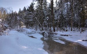 Preview wallpaper winter, snow, river, forest, landscape