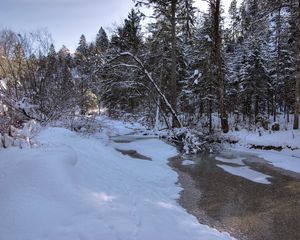 Preview wallpaper winter, snow, river, forest, landscape