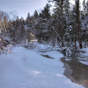 Preview wallpaper winter, snow, river, forest, landscape