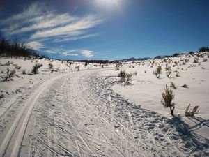 Preview wallpaper winter, snow, road, trees, sky, summer