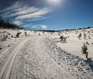 Preview wallpaper winter, snow, road, trees, sky, summer