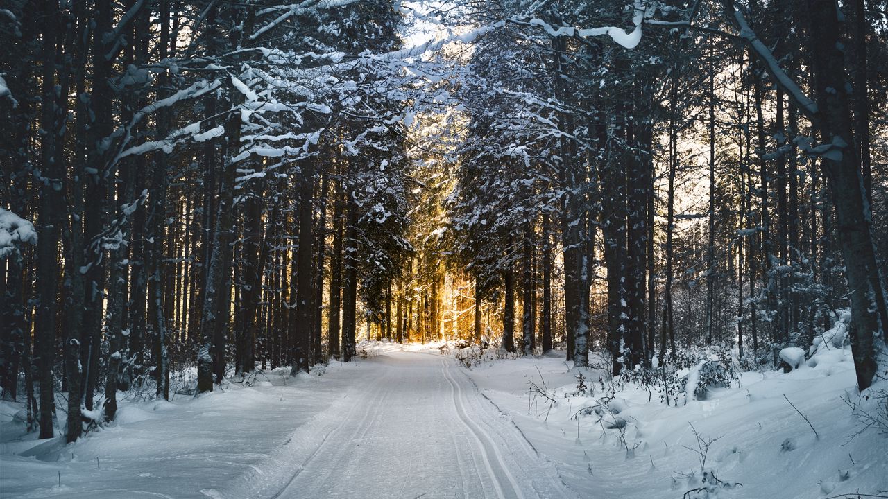 Wallpaper winter, snow, road, trees