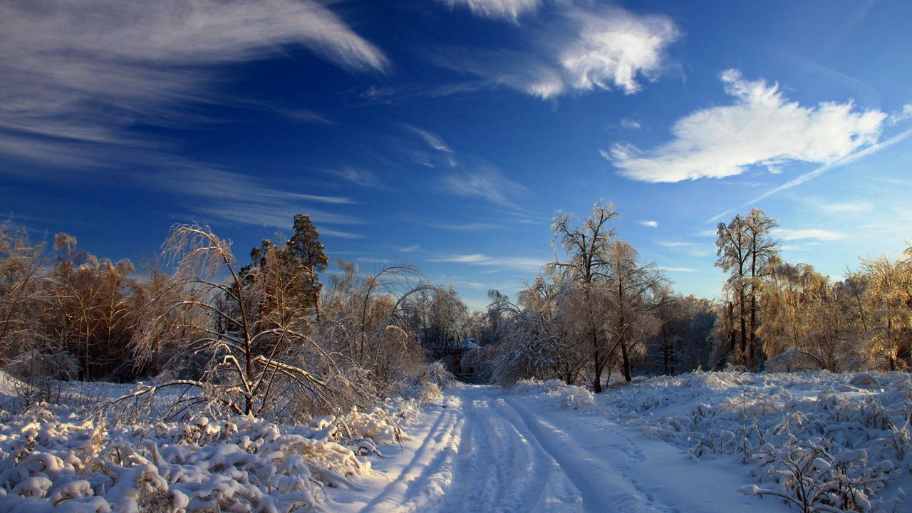 Wallpaper winter, snow, road, traces, bushes, trees, snowdrifts, clouds, sky clear
