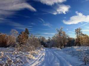 Preview wallpaper winter, snow, road, traces, bushes, trees, snowdrifts, clouds, sky clear