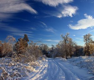 Preview wallpaper winter, snow, road, traces, bushes, trees, snowdrifts, clouds, sky clear