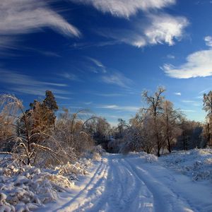 Preview wallpaper winter, snow, road, traces, bushes, trees, snowdrifts, clouds, sky clear