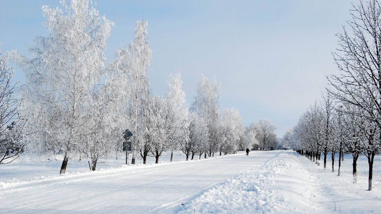 Wallpaper winter, snow, road, avenue, trees, person