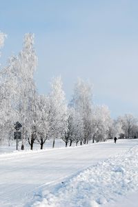 Preview wallpaper winter, snow, road, avenue, trees, person