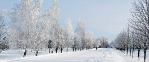 Preview wallpaper winter, snow, road, avenue, trees, person