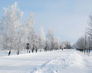 Preview wallpaper winter, snow, road, avenue, trees, person