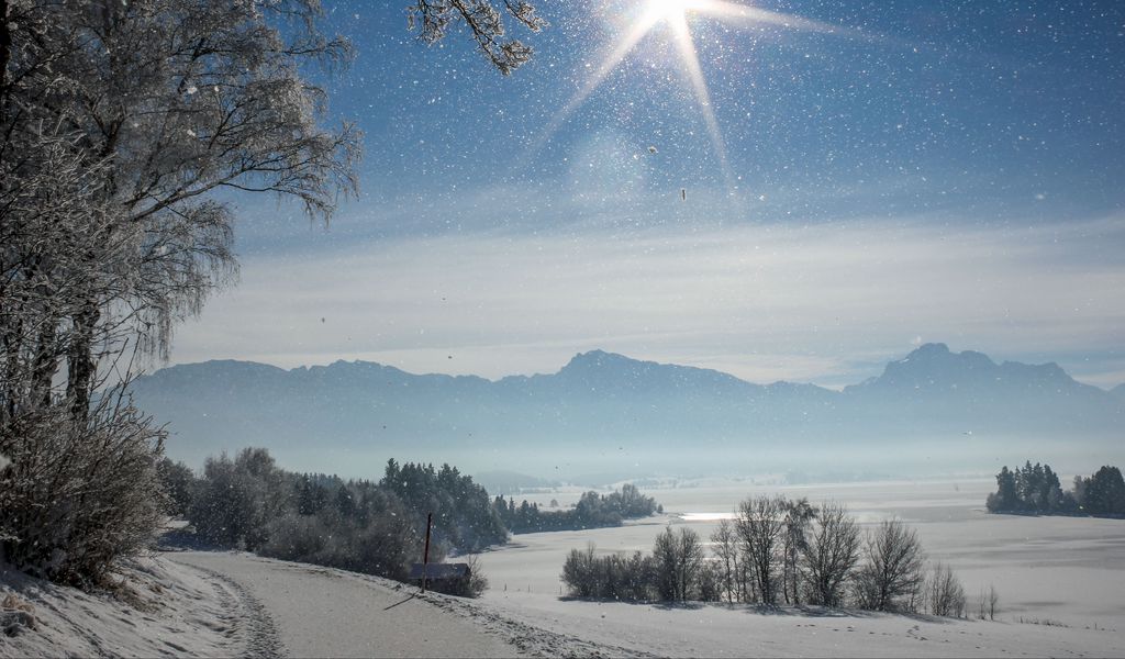 1024x600 Wallpaper winter, snow, snowfall, sunlight, shine