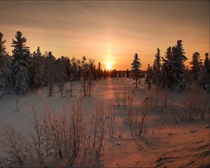 Preview wallpaper winter, snow, sunset, grass