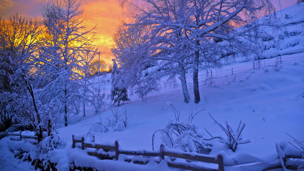 Wallpaper winter, snow, sunset, fence, sky, trees