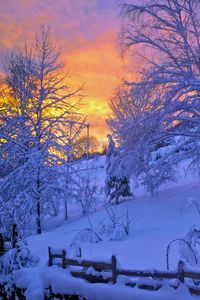 Preview wallpaper winter, snow, sunset, fence, sky, trees