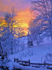 Preview wallpaper winter, snow, sunset, fence, sky, trees