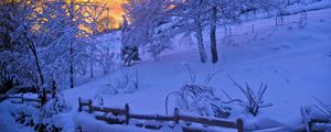 Preview wallpaper winter, snow, sunset, fence, sky, trees