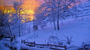 Preview wallpaper winter, snow, sunset, fence, sky, trees