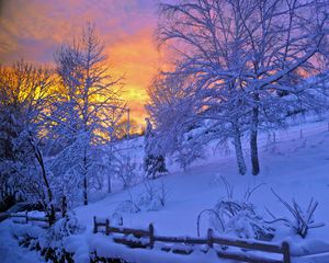 Preview wallpaper winter, snow, sunset, fence, sky, trees