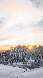 Preview wallpaper winter, snow, top, trees, sunset