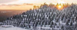 Preview wallpaper winter, snow, top, trees, sunset