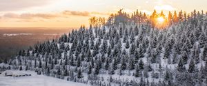 Preview wallpaper winter, snow, top, trees, sunset