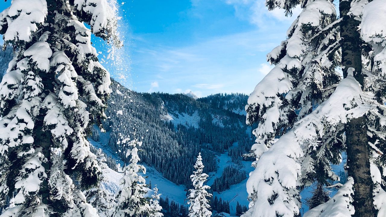 Wallpaper winter, snow, trees, fir-trees, snowy, landscape
