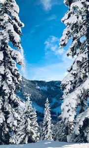 Preview wallpaper winter, snow, trees, fir-trees, snowy, landscape