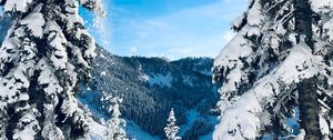 Preview wallpaper winter, snow, trees, fir-trees, snowy, landscape