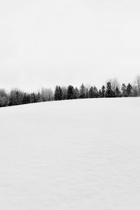 Preview wallpaper winter, snow, trees, bw