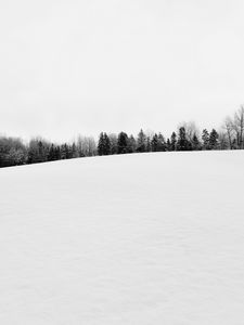 Preview wallpaper winter, snow, trees, bw