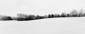 Preview wallpaper winter, snow, trees, bw