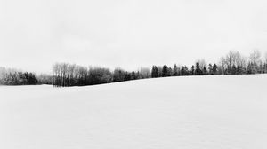 Preview wallpaper winter, snow, trees, bw