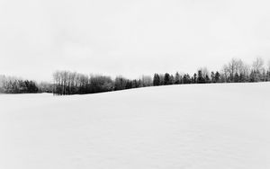 Preview wallpaper winter, snow, trees, bw