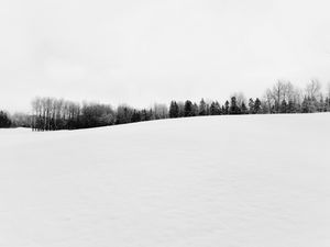 Preview wallpaper winter, snow, trees, bw