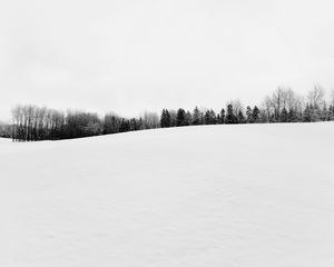 Preview wallpaper winter, snow, trees, bw