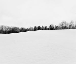 Preview wallpaper winter, snow, trees, bw