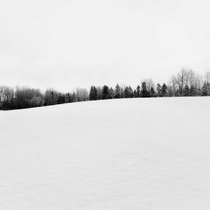 Preview wallpaper winter, snow, trees, bw