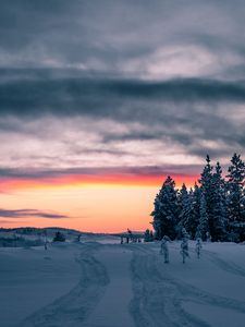 Preview wallpaper winter, snow, trees, sunset, horizon