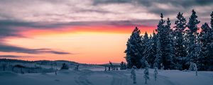 Preview wallpaper winter, snow, trees, sunset, horizon