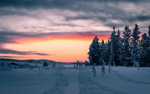 Preview wallpaper winter, snow, trees, sunset, horizon