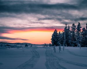 Preview wallpaper winter, snow, trees, sunset, horizon