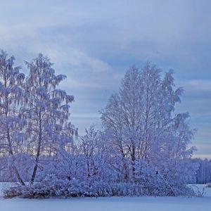 Preview wallpaper winter, snow, trees, frost