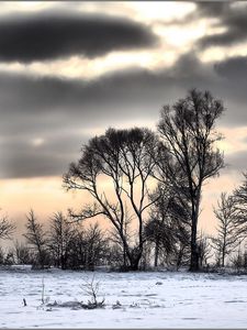 Preview wallpaper winter, snow, trees, clouds