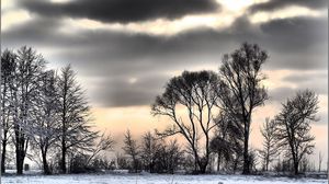 Preview wallpaper winter, snow, trees, clouds