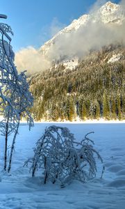 Preview wallpaper winter, snow, trees, hills, sunny, clouds