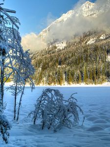 Preview wallpaper winter, snow, trees, hills, sunny, clouds