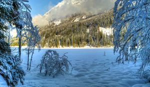 Preview wallpaper winter, snow, trees, hills, sunny, clouds