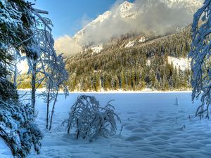 Preview wallpaper winter, snow, trees, hills, sunny, clouds