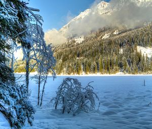 Preview wallpaper winter, snow, trees, hills, sunny, clouds