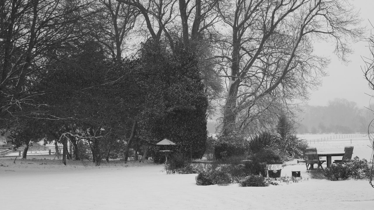 Wallpaper winter, snowfall, park, trees, table